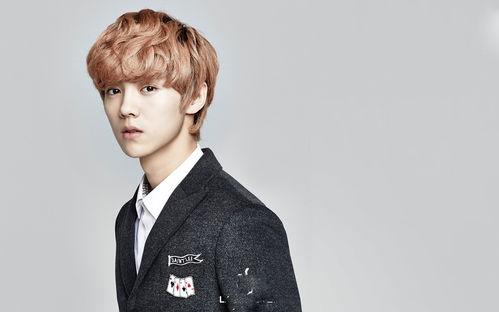 鹿晗新闻爆料视频播放下载,揭秘幕后真相  第1张