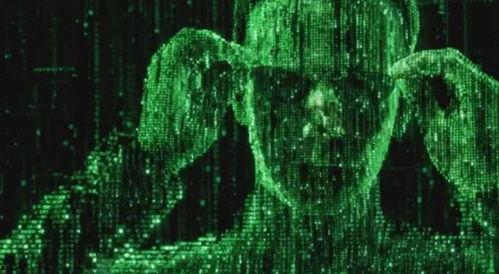 顶级黑客爆料视频下载软件,揭秘视频下载软件的秘密与技巧  第2张