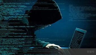 顶级黑客爆料视频下载软件,揭秘视频下载软件的秘密与技巧  第3张